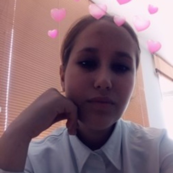 Рисунок профиля (Darya)