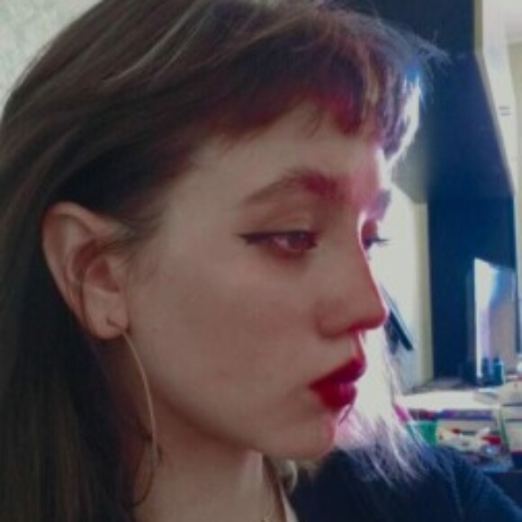 Рисунок профиля (ALINA)